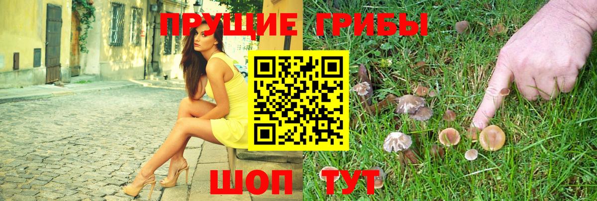 Галлюциногенные грибы MAGIC MUSHROOMS Кимовск