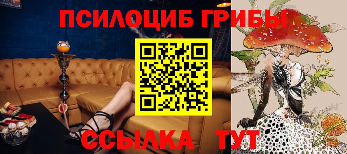 Псилоцибиновые грибы ЛСД  Псилоцибиновые грибы Psilocybine cubensis  Вход с VPN  Кимовск 