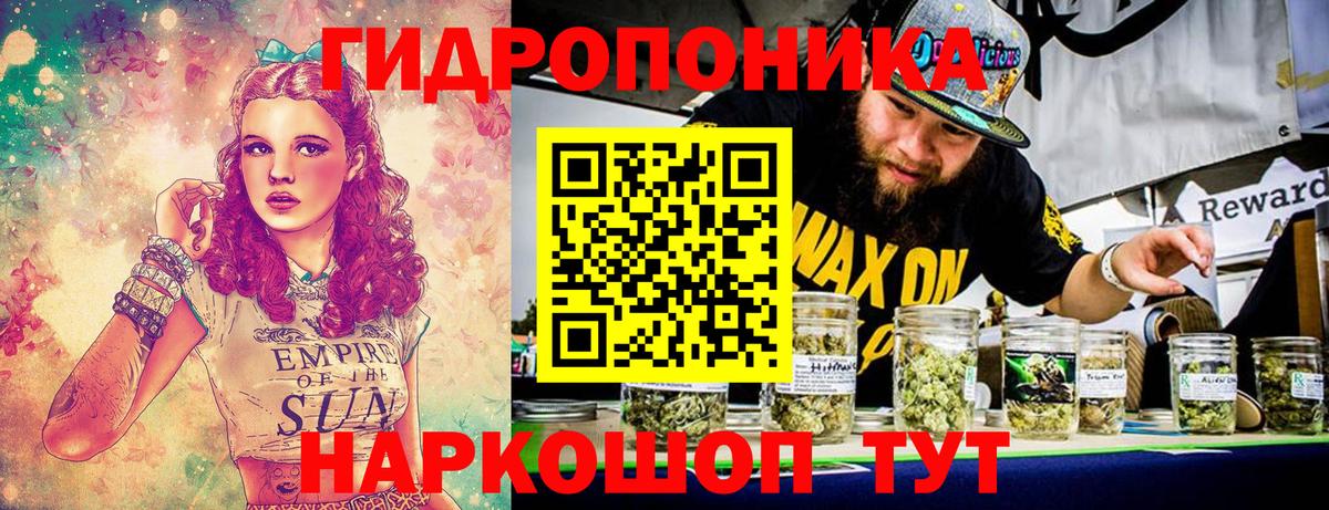 Каннабис индика Кимовск
